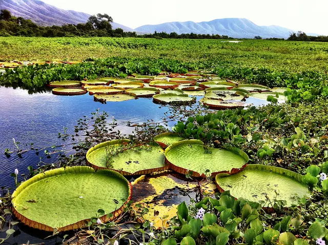 paisajes