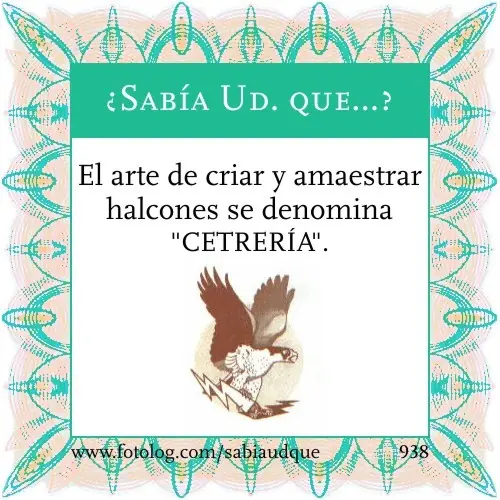 que