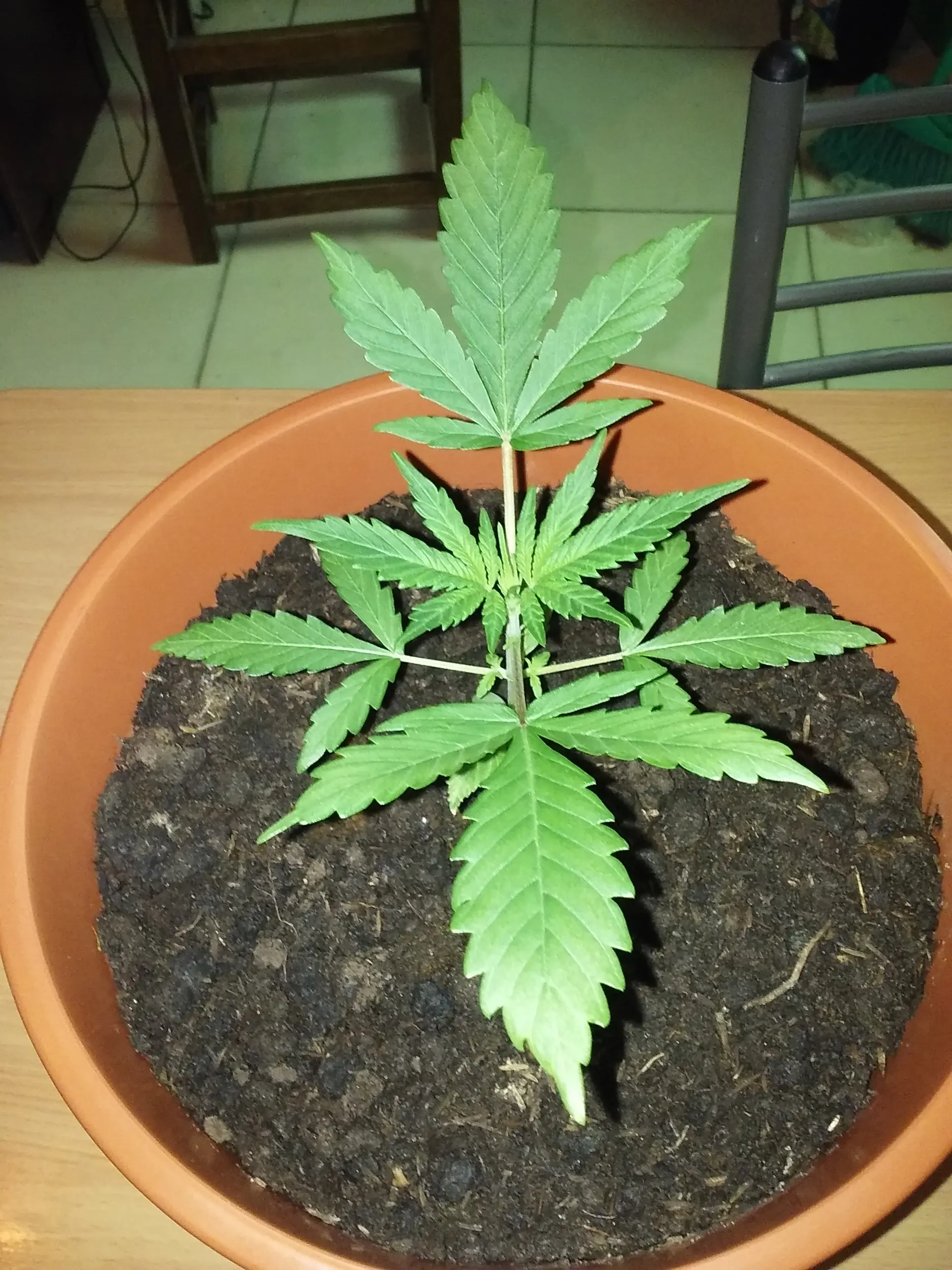 Uruguay