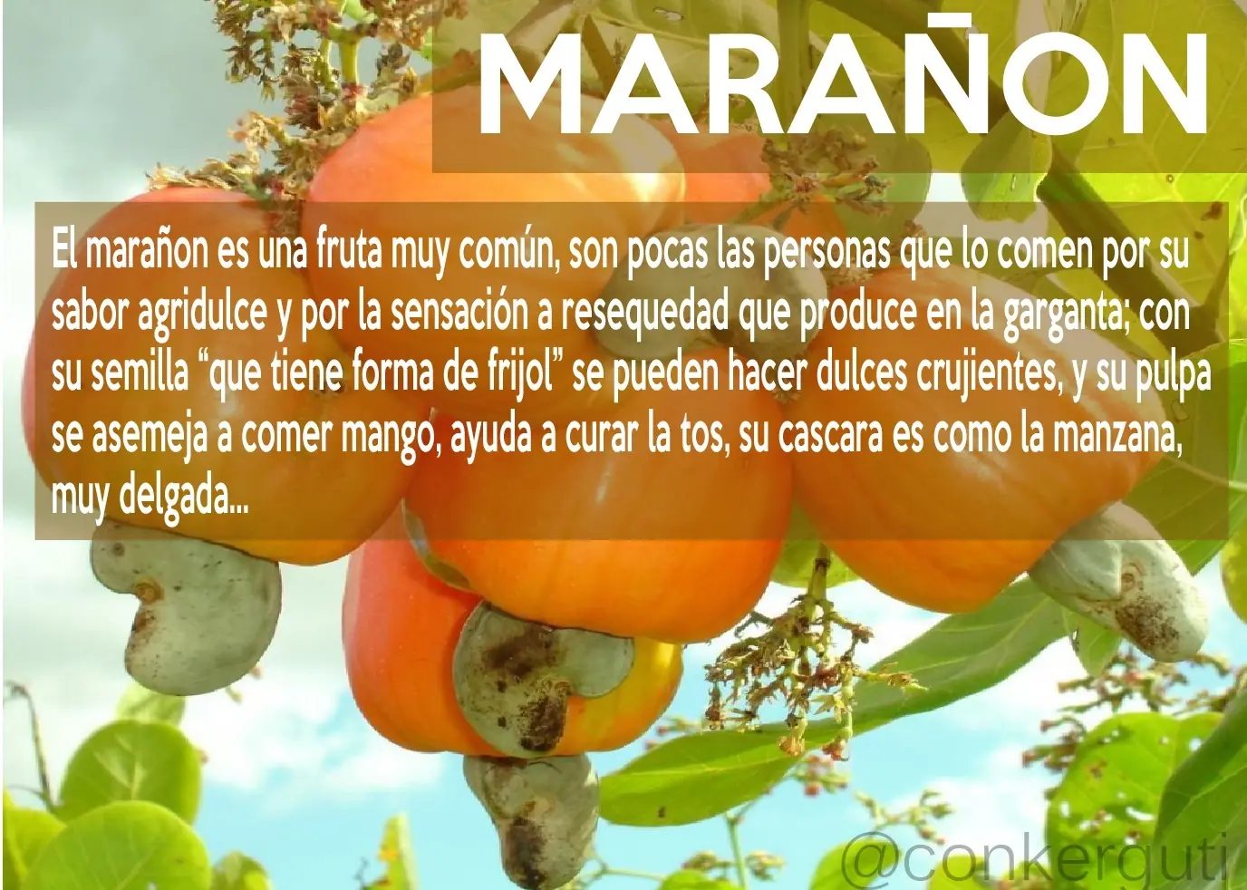 Frutas Exóticas que debes probar... +18