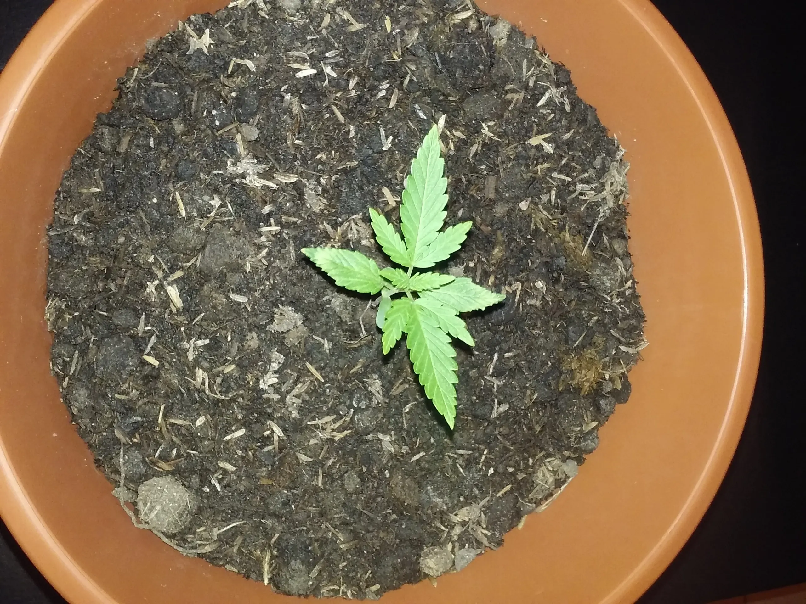 Uruguay