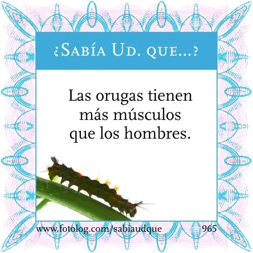 ganarse