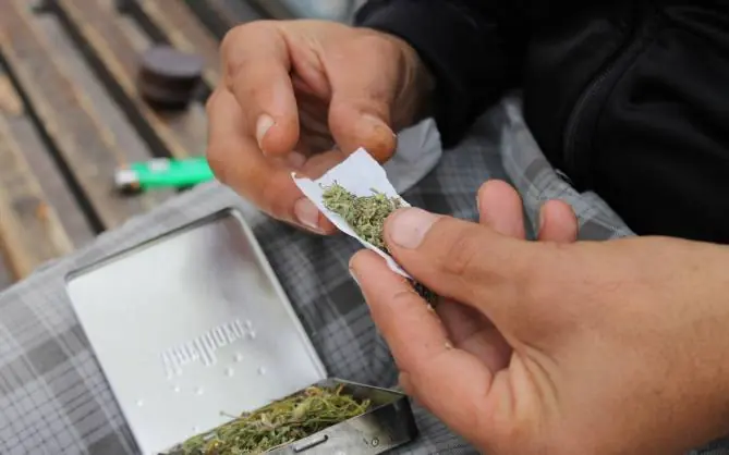 Estudio reveló que la marihuana genera “vagos”