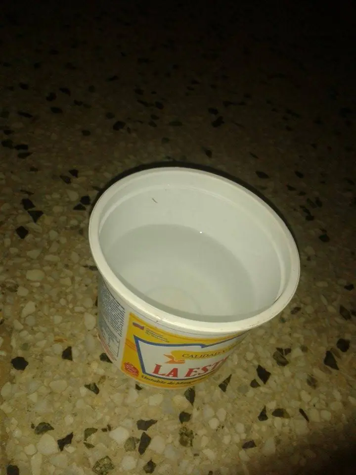 Rescaté a una Perrita Callejera y te lo Muestro!