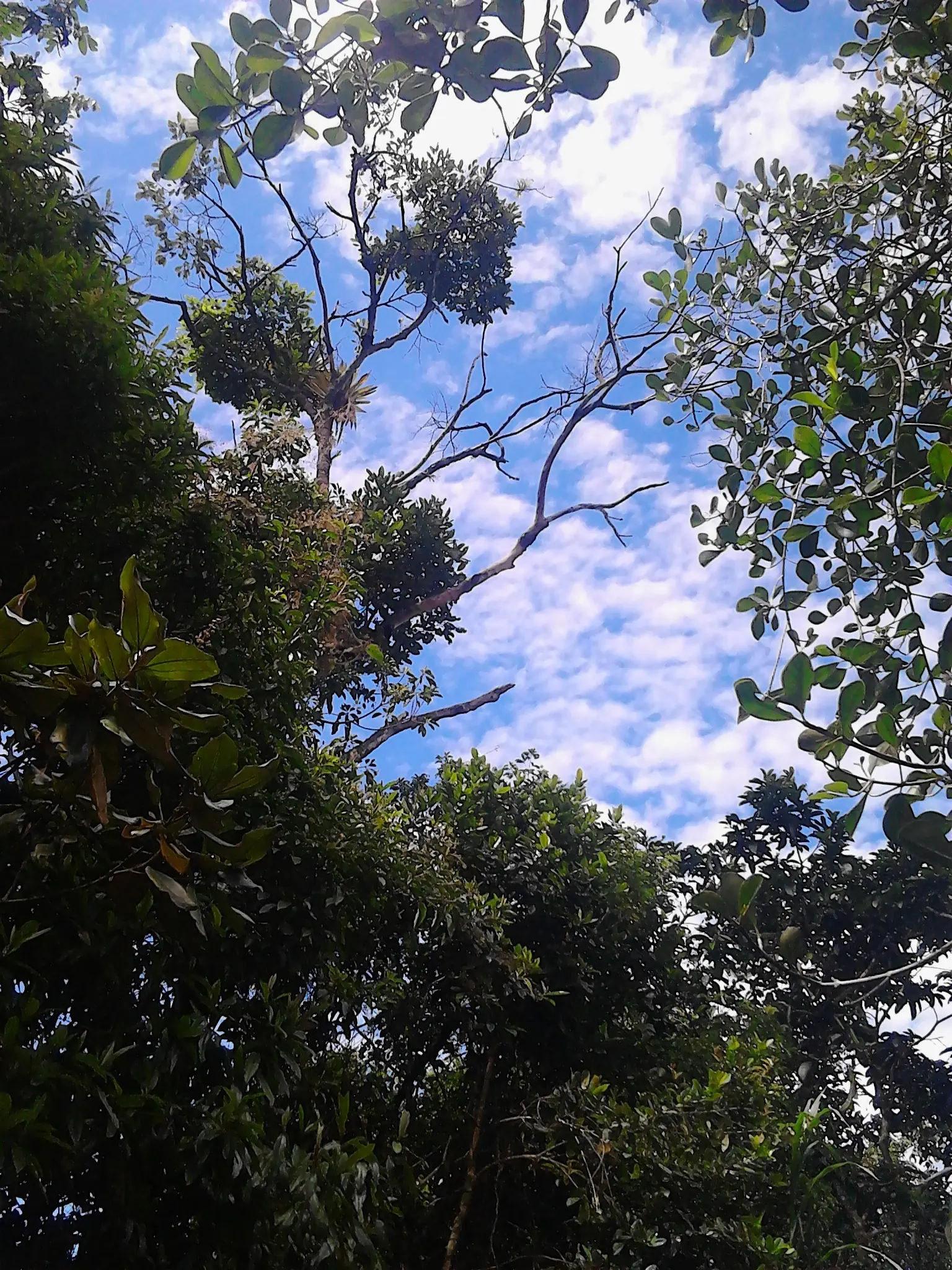 paisajes