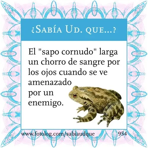 informacion