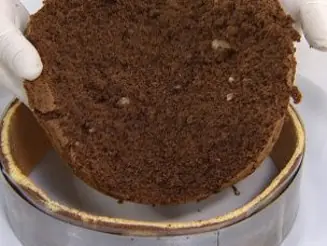 capuchino