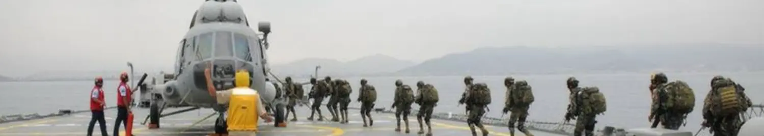 Fuerza Aerea Mexicana