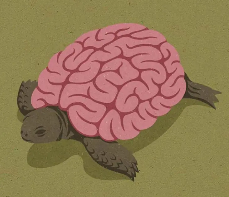 ilustraciones