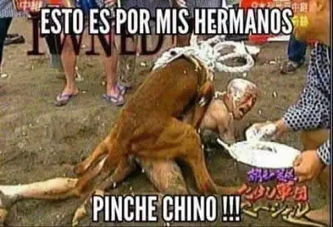 Chiste