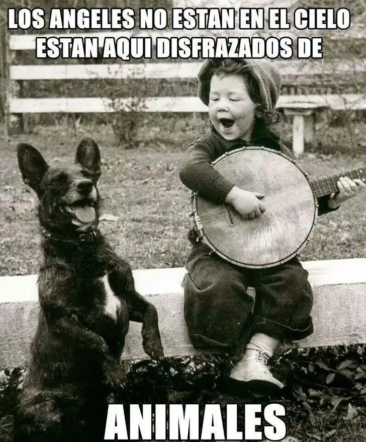 fotos