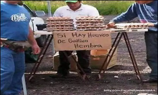 fotos