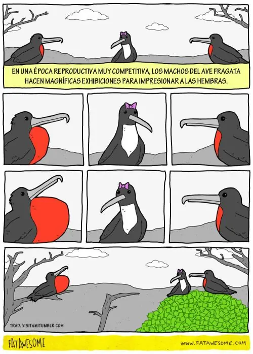 Chiste