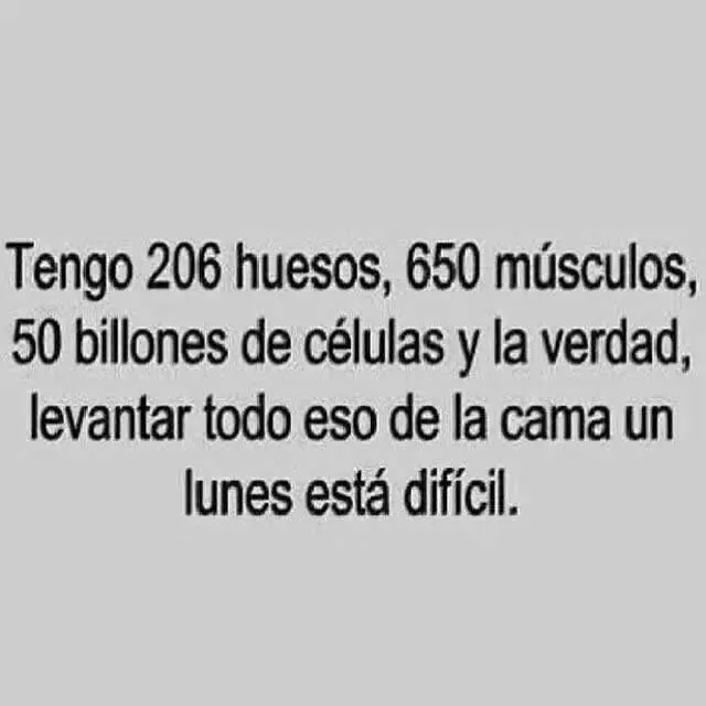 Chiste