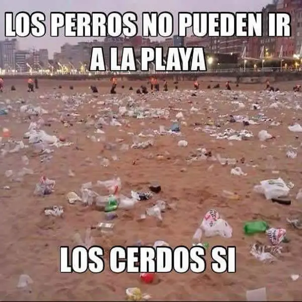 compilado