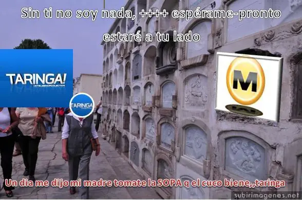 Y si hacemos Top a Taringa!