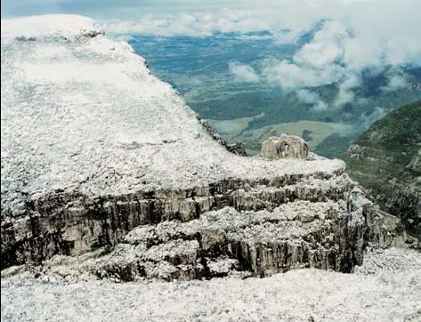 Te muestro paisajes de Brasil, vení ponete el cinturón