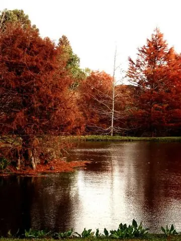 paisajes