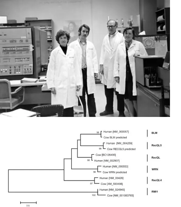 Margaret Dayhoff, una pionera de la Bioinformática