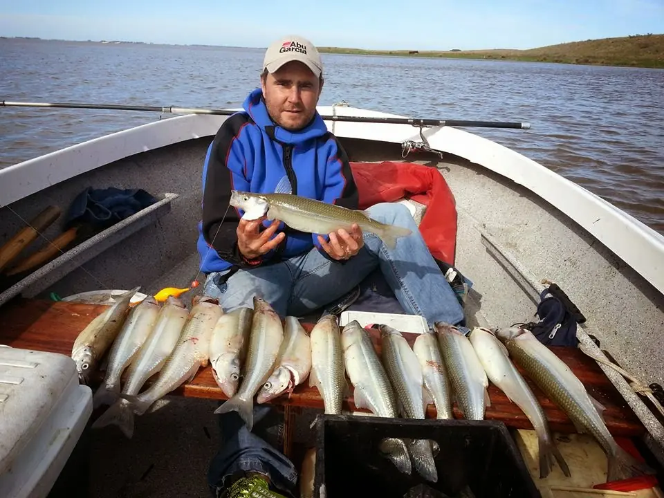 lagunas