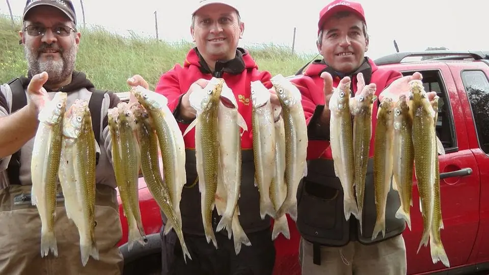 Pesca
