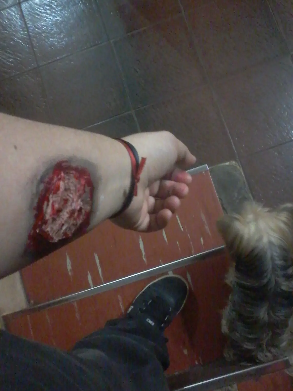 sangre