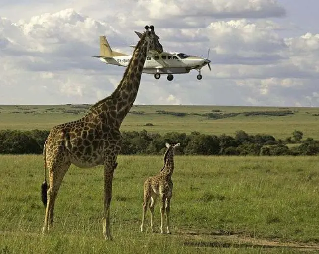 fotos momento exacto fotos momento exacto