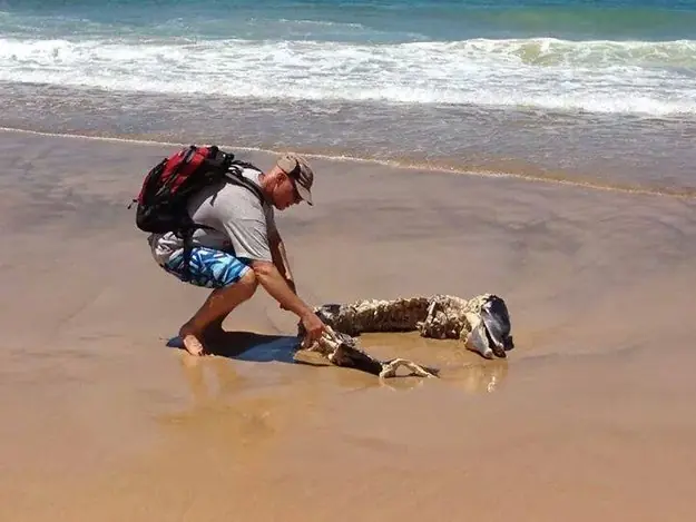 Australia