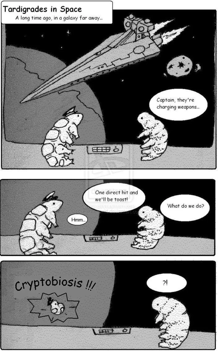 TARDIGRADOS TARDIGRADOS