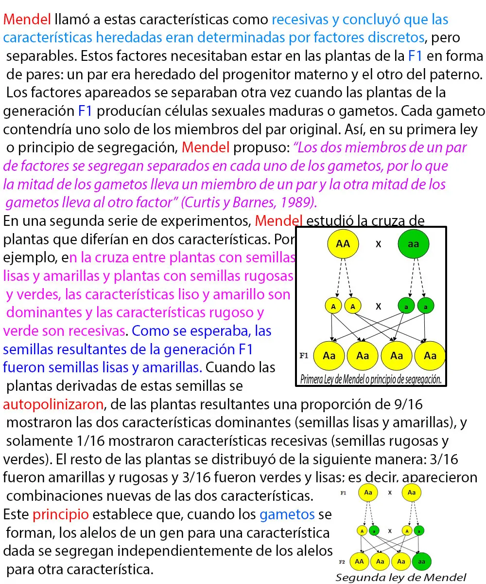Biología,Dna , Genética (MegaPost)Inteligencia Colectiva