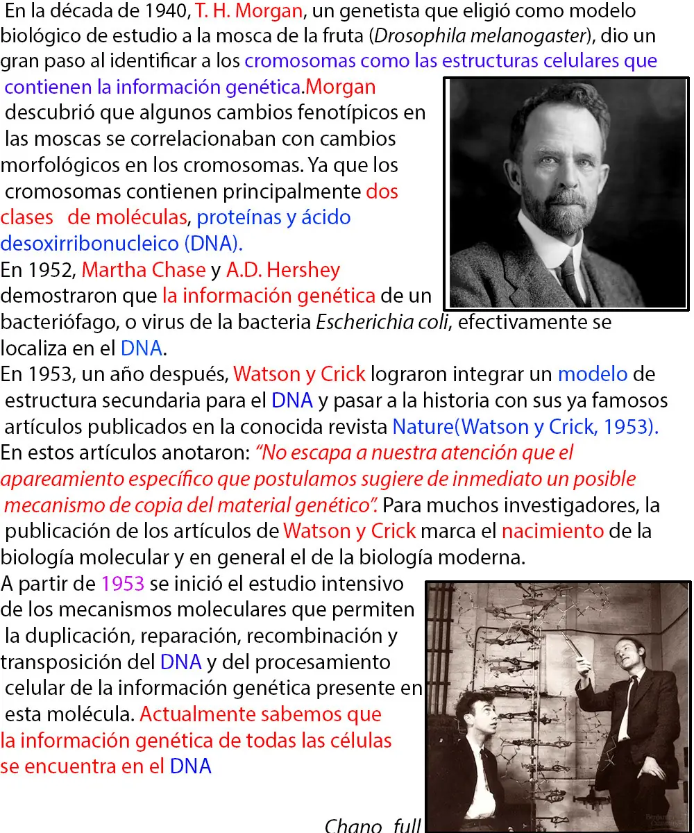 biologia