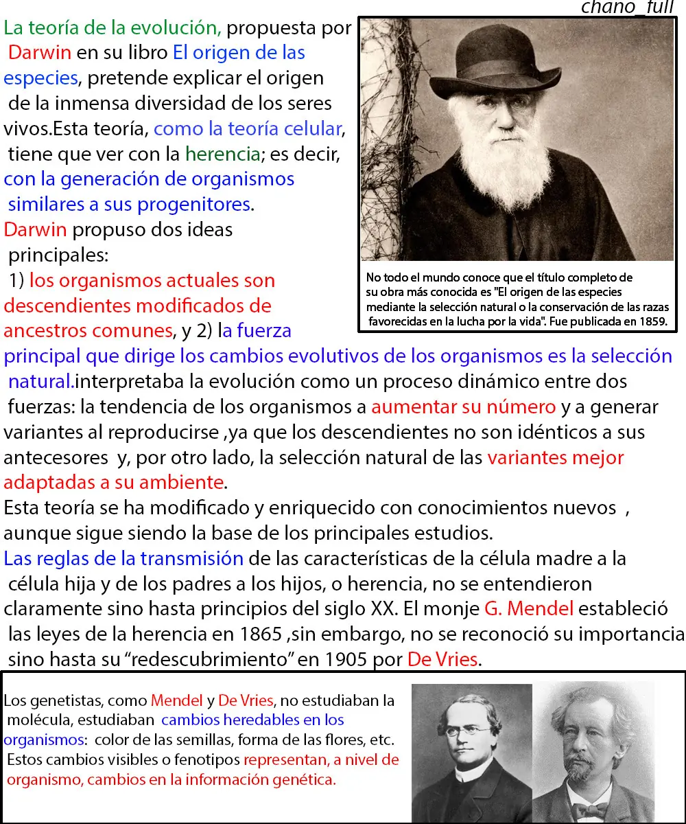 inteligencia