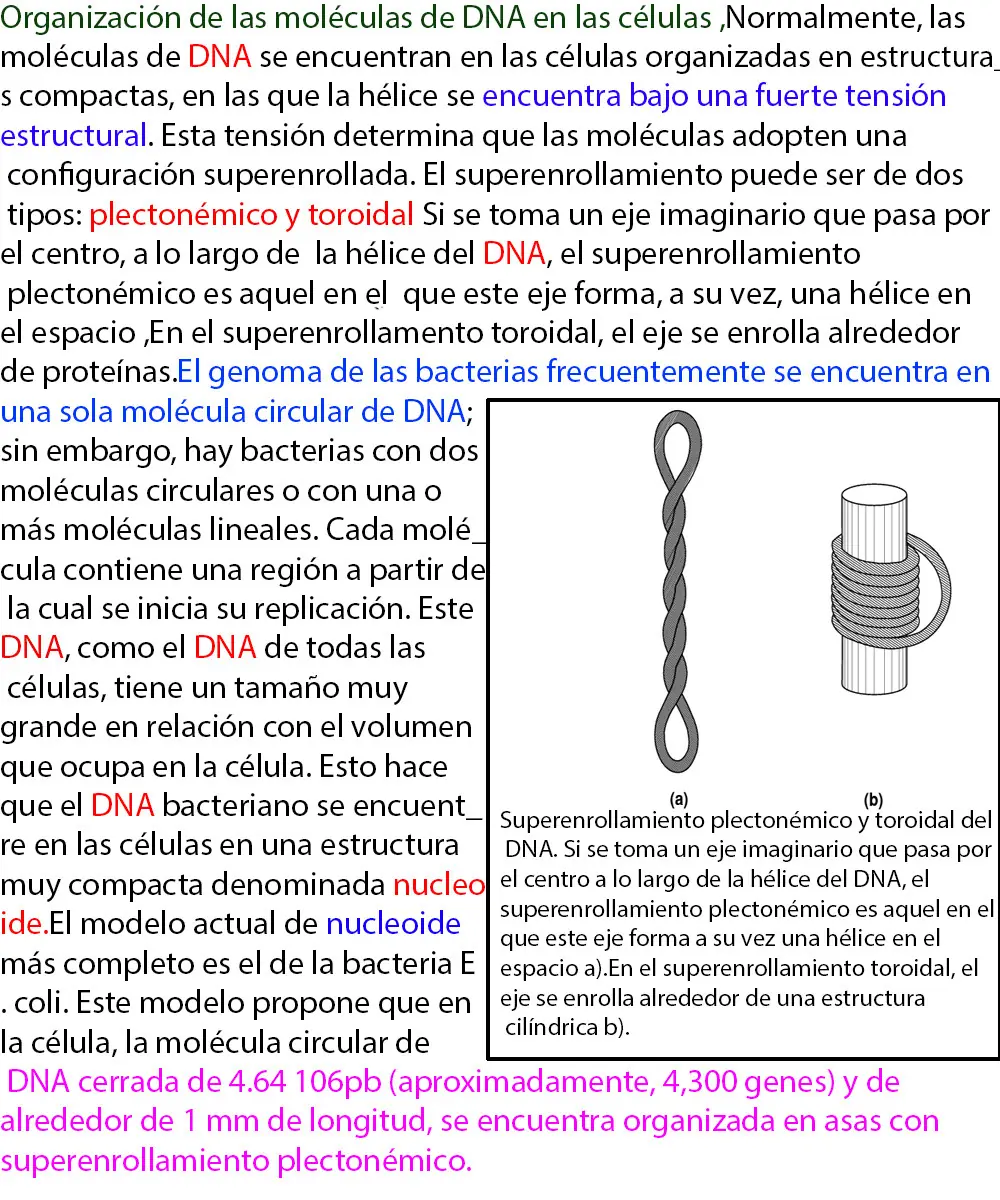 biologia