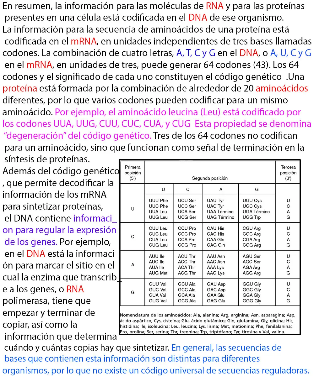 inteligencia