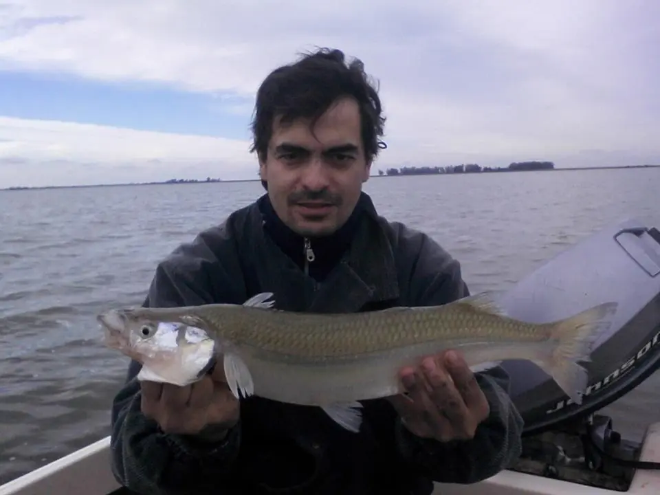 Pesca! TOP 5: Las mejores lagunas del 2015 bs as