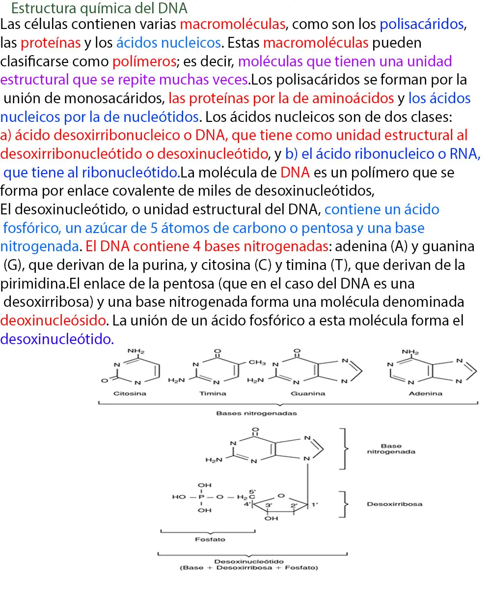 ciencia
