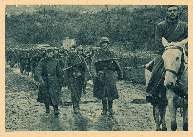 division azul