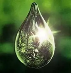 130 Cosas curiosas