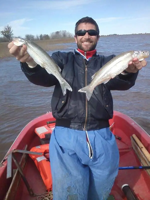 Pesca! TOP 5: Las mejores lagunas del 2015 bs as
