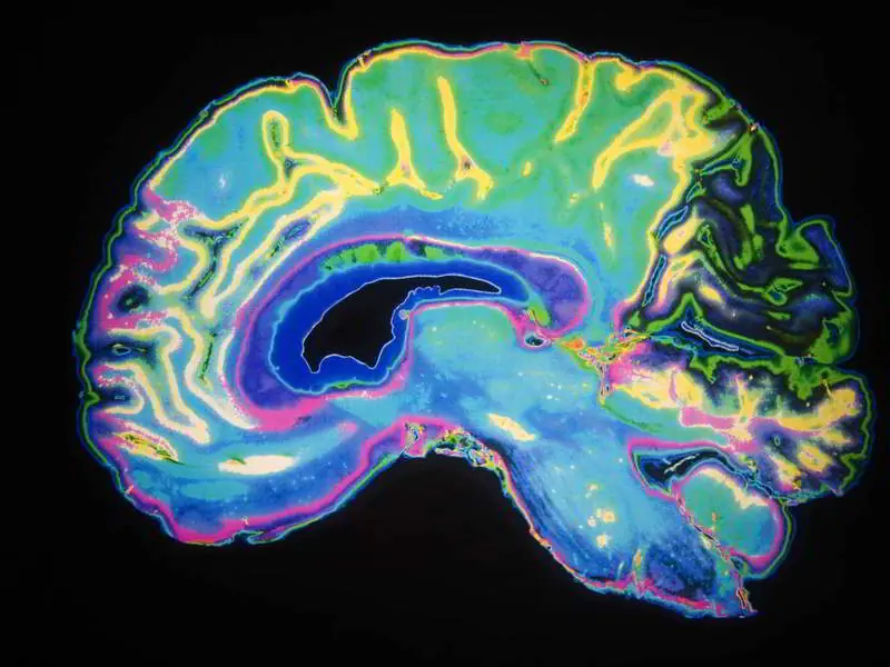 esto es lo que pasa a tu cuerpo 