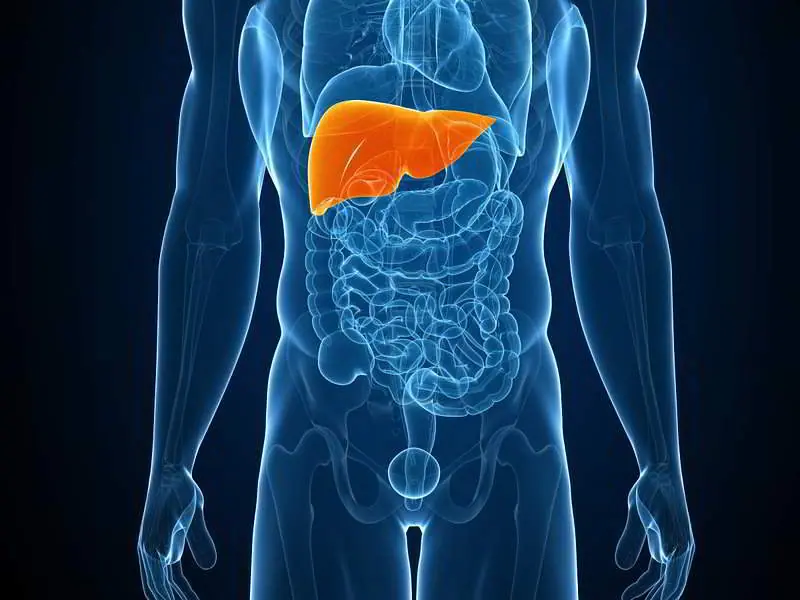 esto es lo que pasa a tu cuerpo 