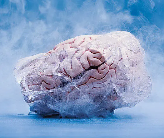Soy Científico. ¿Qué sucede si el cerebro se enfría?