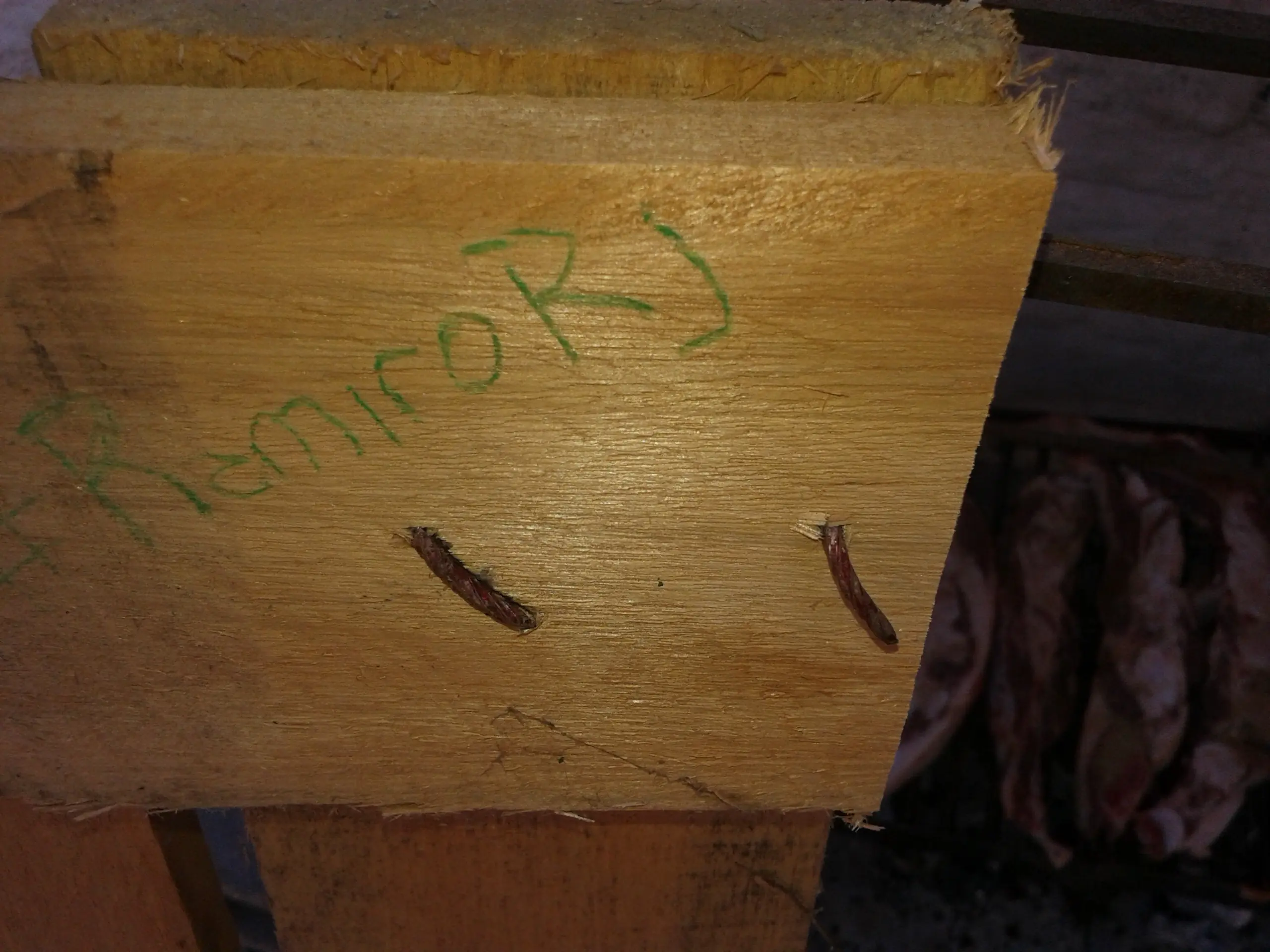 ramirorj