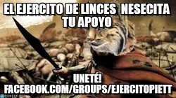 todas