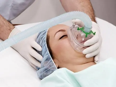 Datos Curiosos para Curioseadores: Pelirrojos