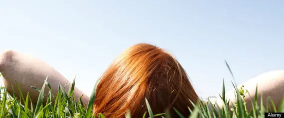 Datos Curiosos para Curioseadores: Pelirrojos