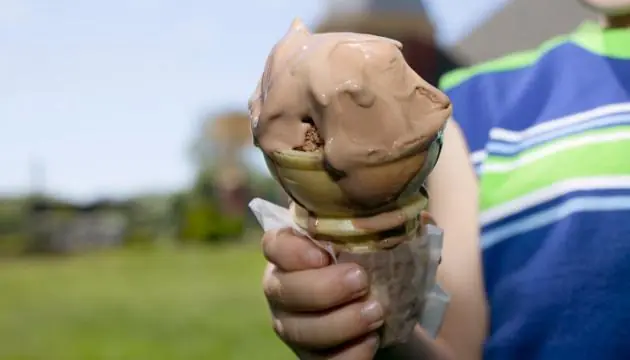proteina