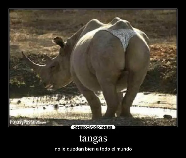 usar tangas