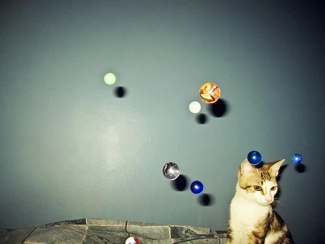 el el