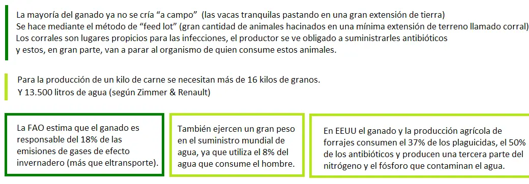 alimentacion